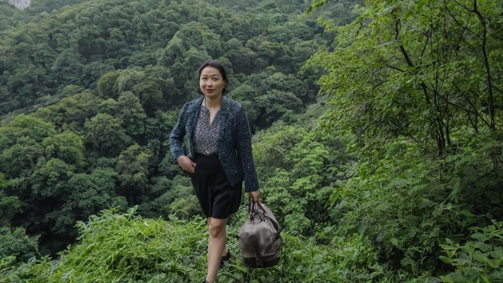 娱乐与学问结合的张教授打油诗引发全网热议同时探讨AV作品评价两极分化