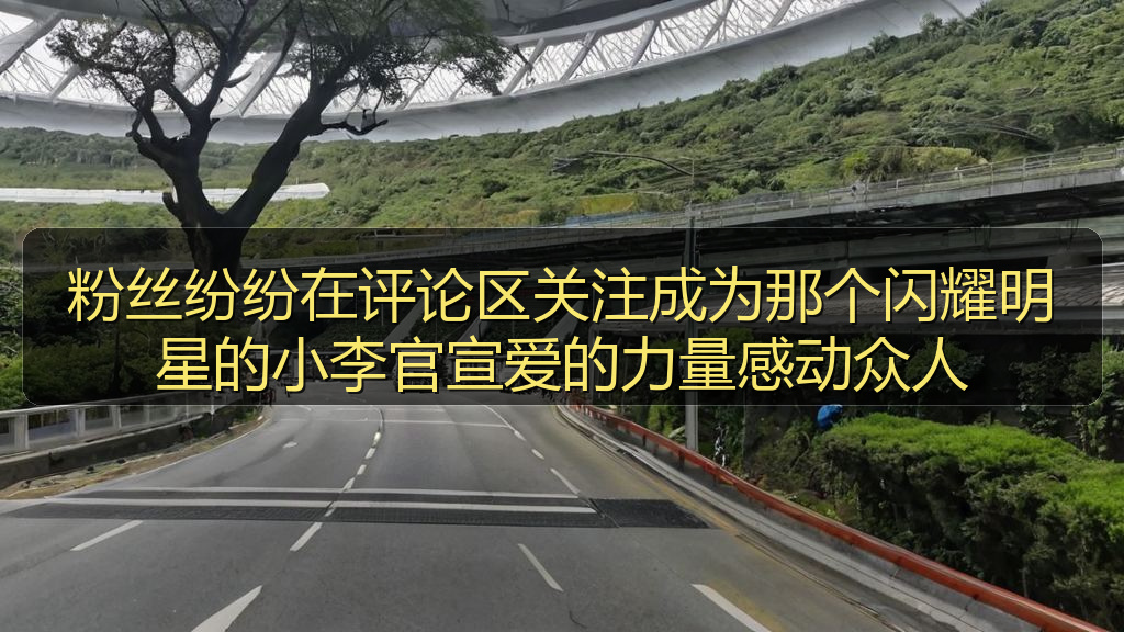 粉丝纷纷在评论区关注成为那个闪耀明星的小李官宣爱的力量感动众人