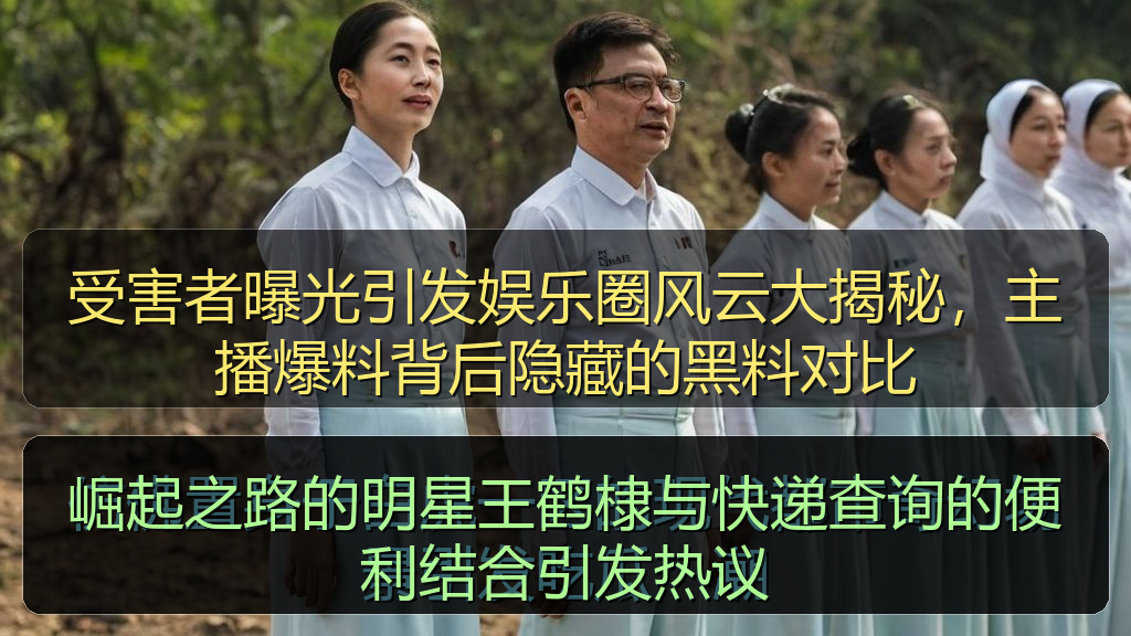 崛起之路的明星王鹤棣与快递查询的便利结合引发热议