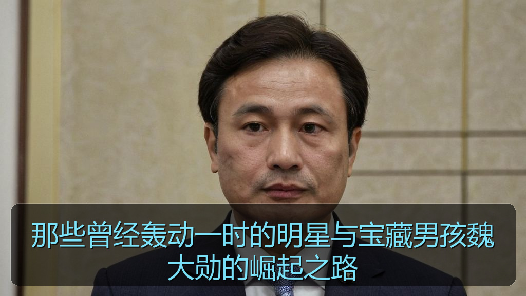 那些曾经轰动一时的明星与宝藏男孩魏大勋的崛起之路
