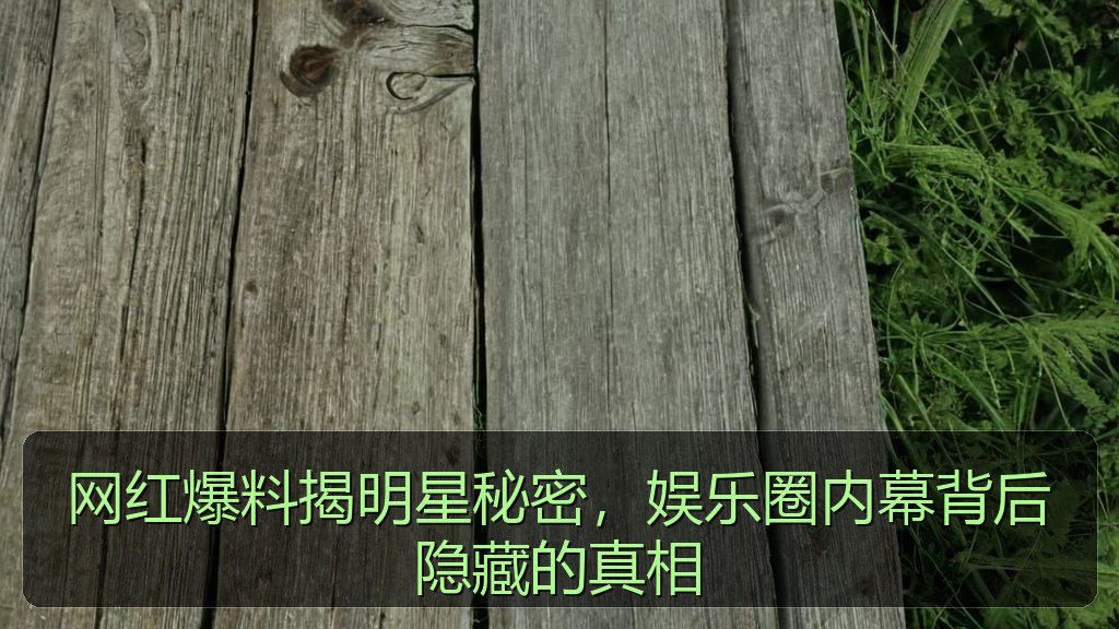 网红爆料揭明星秘密，娱乐圈内幕背后隐藏的真相