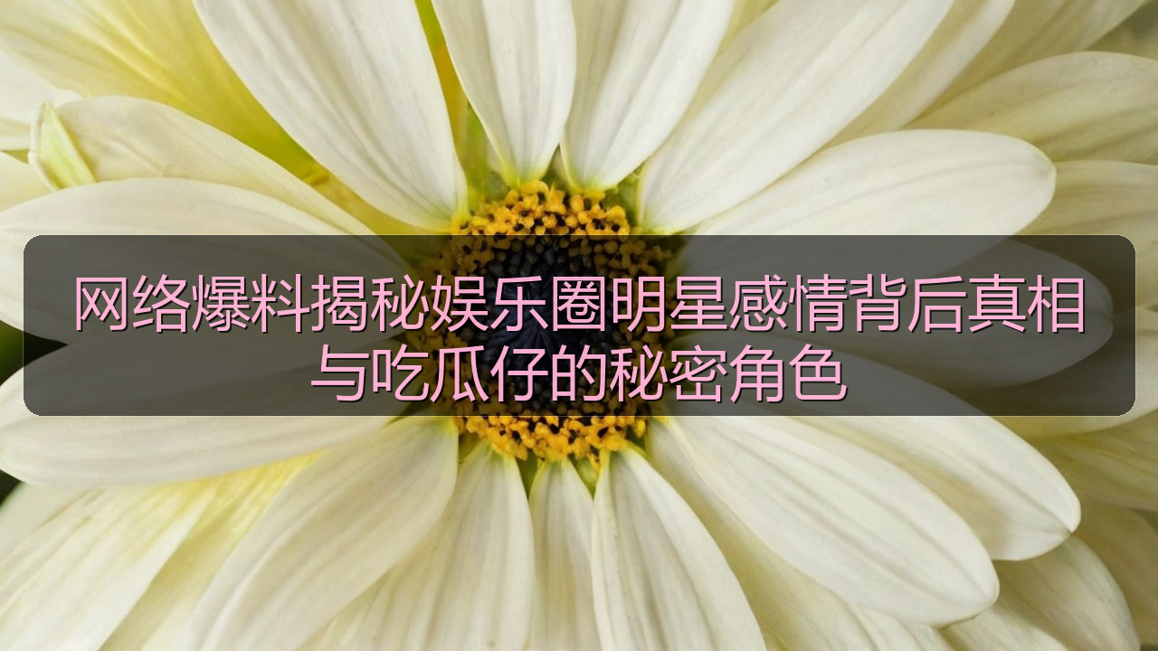 网络爆料揭秘娱乐圈明星感情背后真相与吃瓜仔的秘密角色