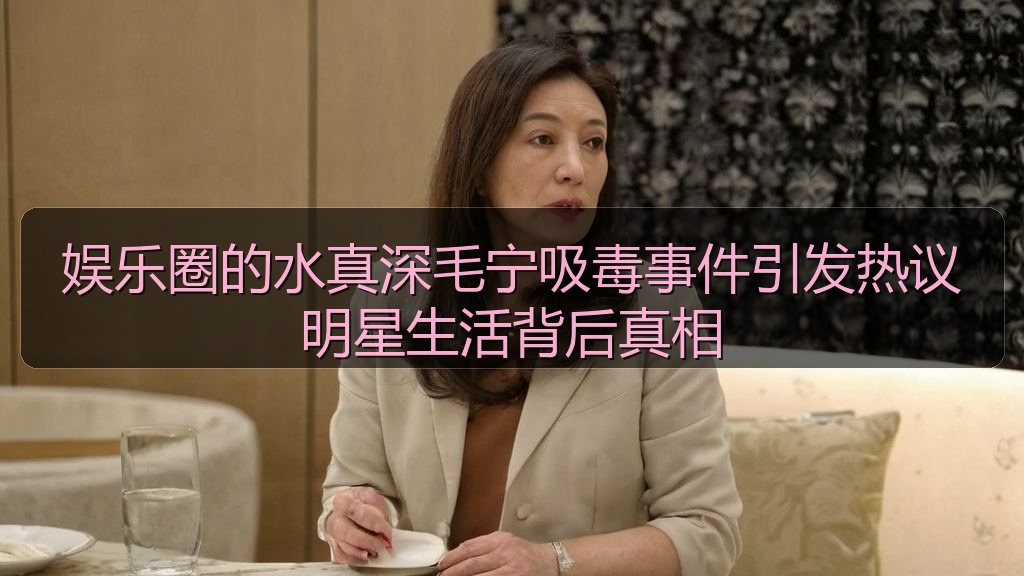 娱乐圈的水真深毛宁吸毒事件引发热议明星生活背后真相