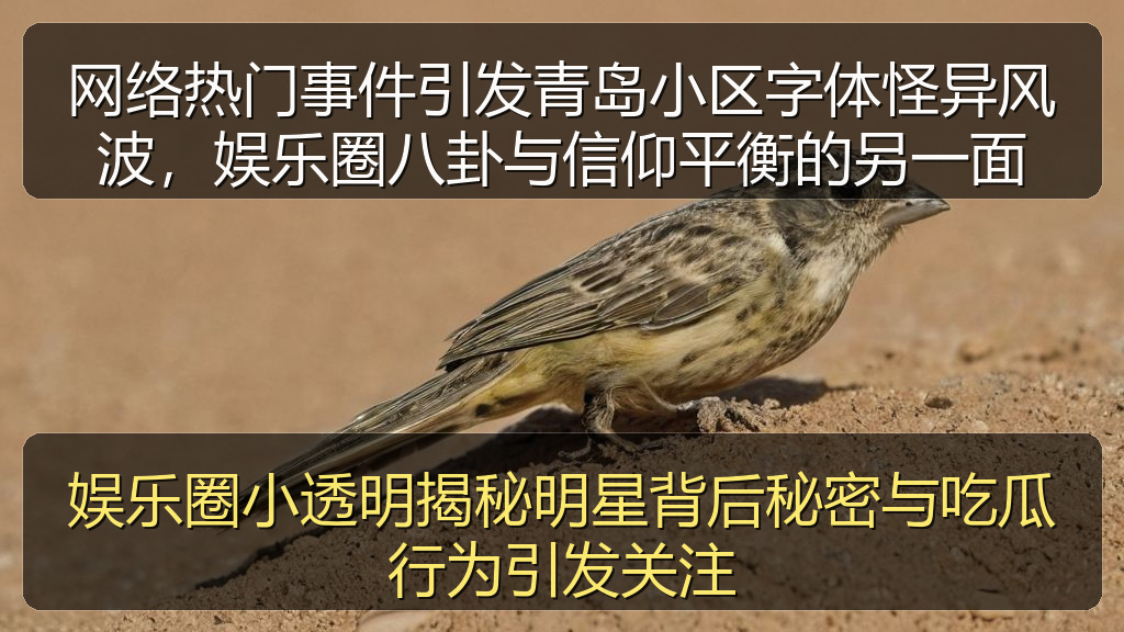 娱乐圈小透明揭秘明星背后秘密与吃瓜行为引发关注